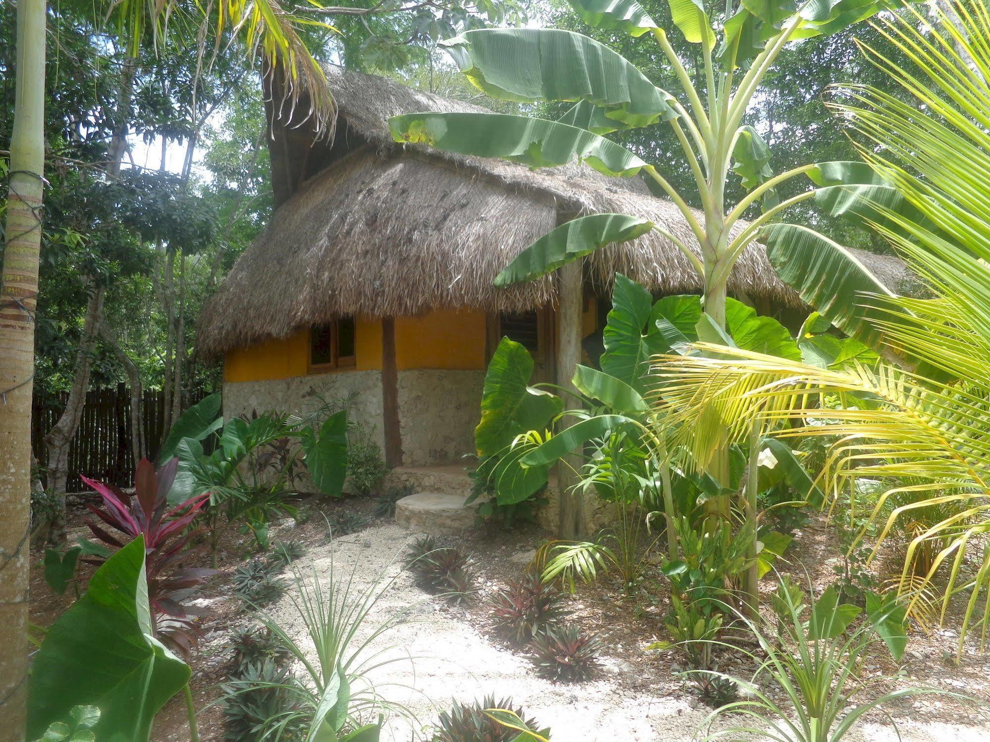 Casa Mango Bed and Breakfast Tulum Eksteriør billede