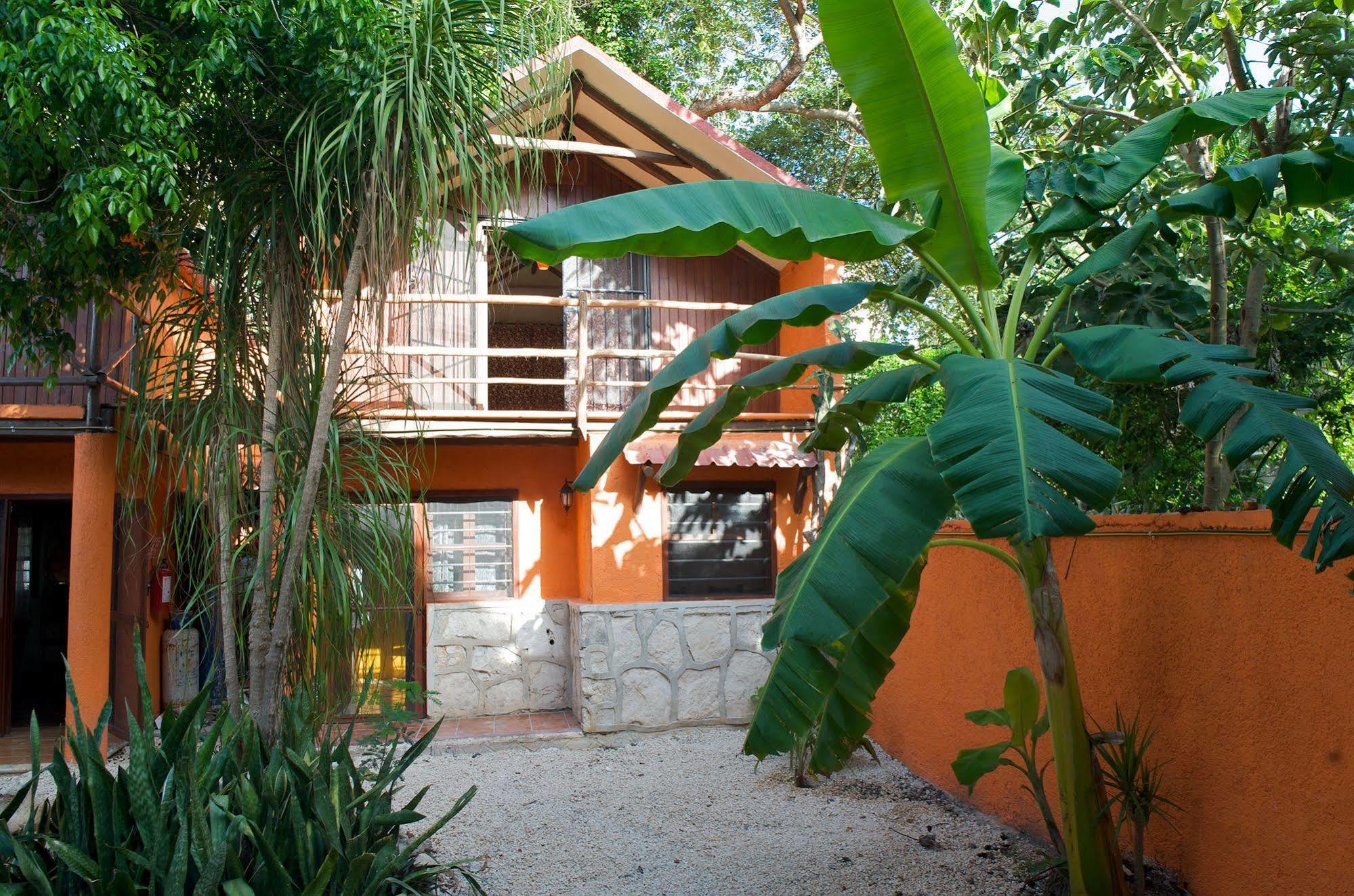 Casa Mango Bed and Breakfast Tulum Eksteriør billede